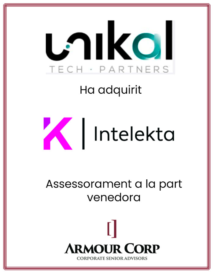 intelekta-cat.jpg